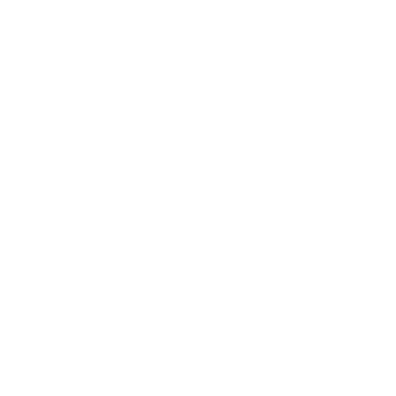 Pura Vida Viajes